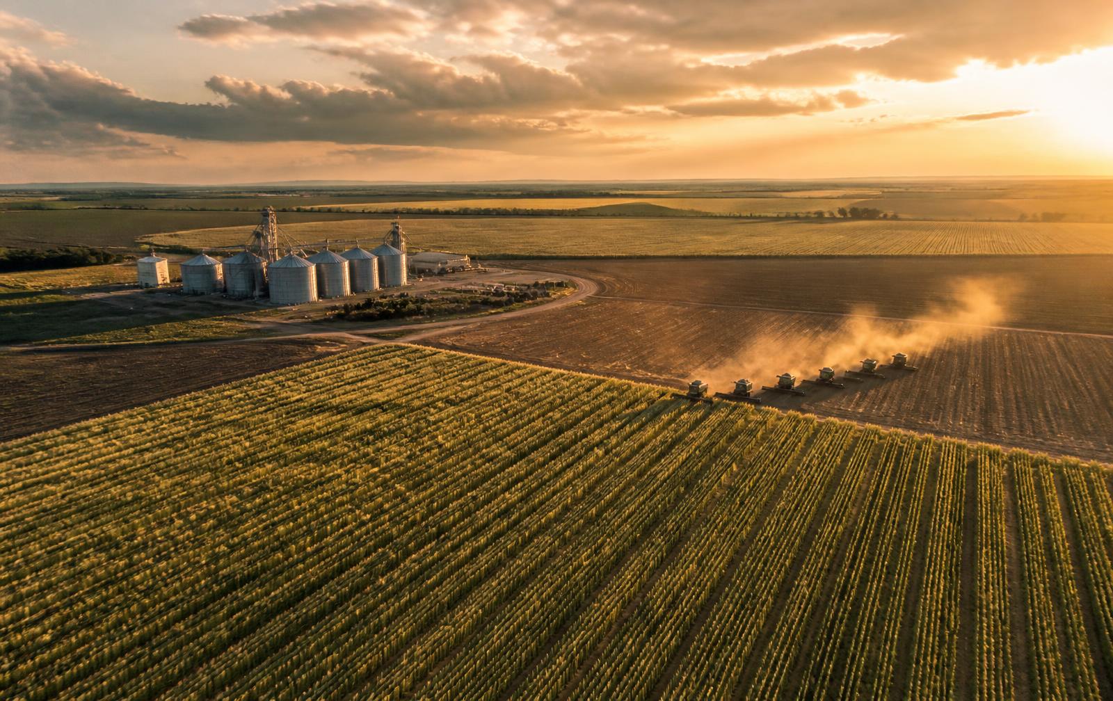 Vista aérea de lavoura brasileira com silos e colheita em grande escala